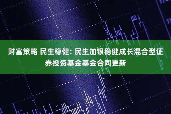 财富策略 民生稳健: 民生加银稳健成长混合型证券投资基金基金合同更新