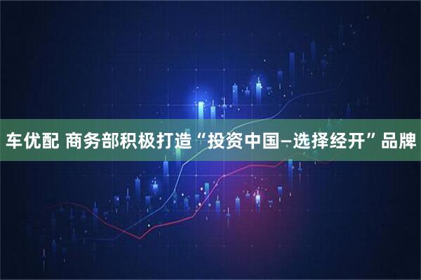 车优配 商务部积极打造“投资中国—选择经开”品牌