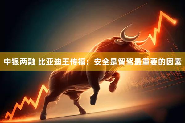 中银两融 比亚迪王传福：安全是智驾最重要的因素